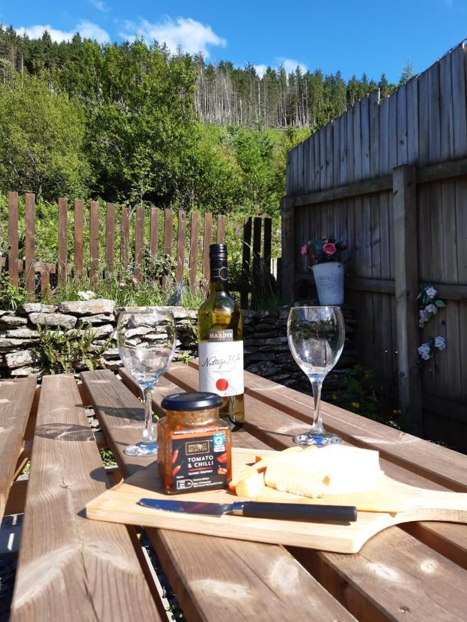 Afan Valley Home - Contractor Accommodation Port Talbot Bagian luar foto