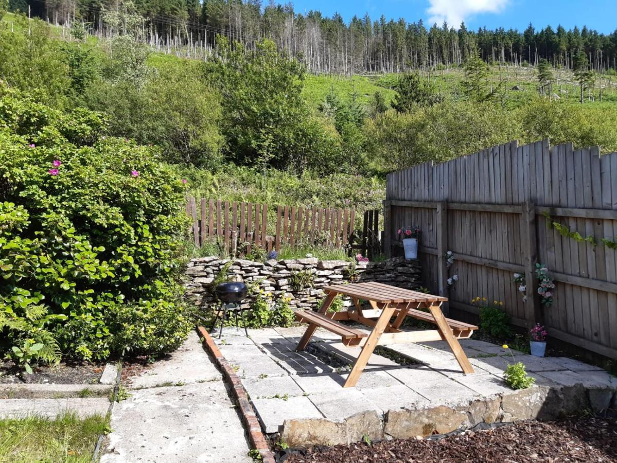 Afan Valley Home - Contractor Accommodation Port Talbot Bagian luar foto
