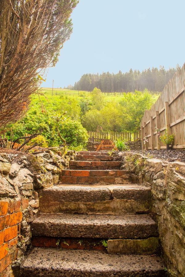 Afan Valley Home - Contractor Accommodation Port Talbot Bagian luar foto